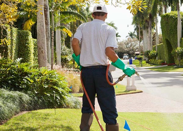 About Helen GA Pest Control Pros